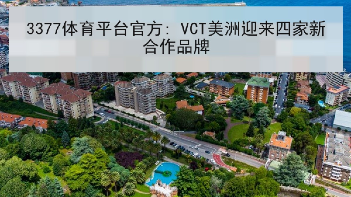 3377体育平台官方: VCT美洲迎来四家新合作品牌