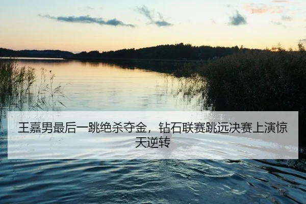 wang-jia-nan-zui-hou-yi-tiao-jue-sha-duo-jin-zuan-shi-lian-sai-tiao-yuan-jue-sai-shang-yan-jing-tian-ni-zhuan-3-502.jpg
